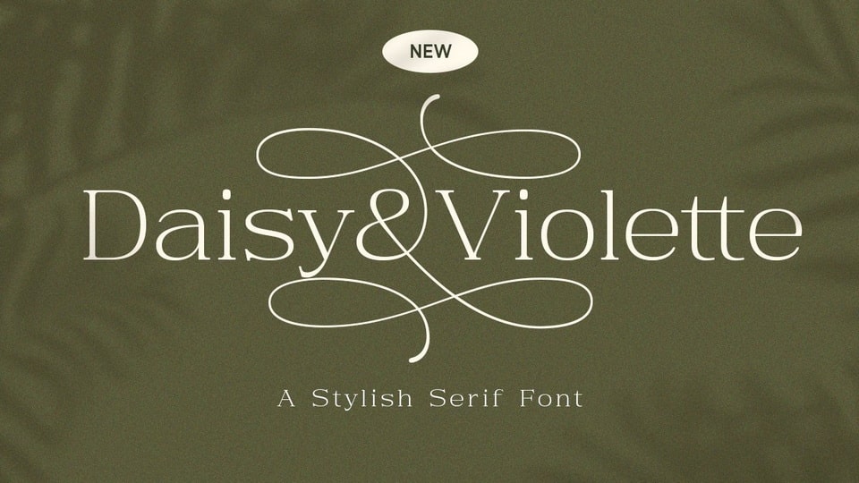 Daisy & Violette: A Blend of Contemporary Design and Timeless Sophistication in a Serif Font
