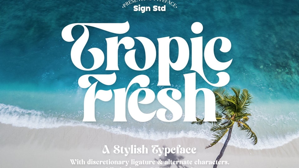 Tropic Fresh: A Cheerful Font with High-Detailed Characters