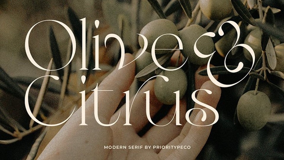 Olive & Citrus: A Meticulously Crafted Serif Typeface for Elegant and Sophisticated Designs