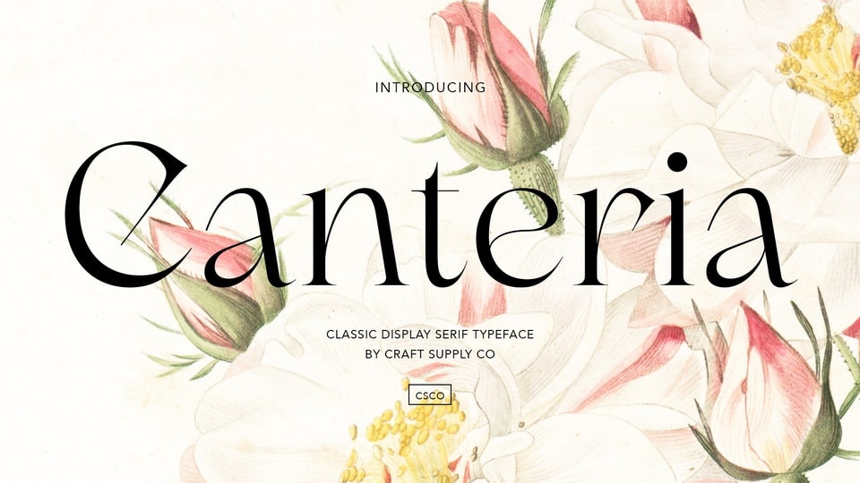 Canteria: A Stylish and Elegant Serif Typeface