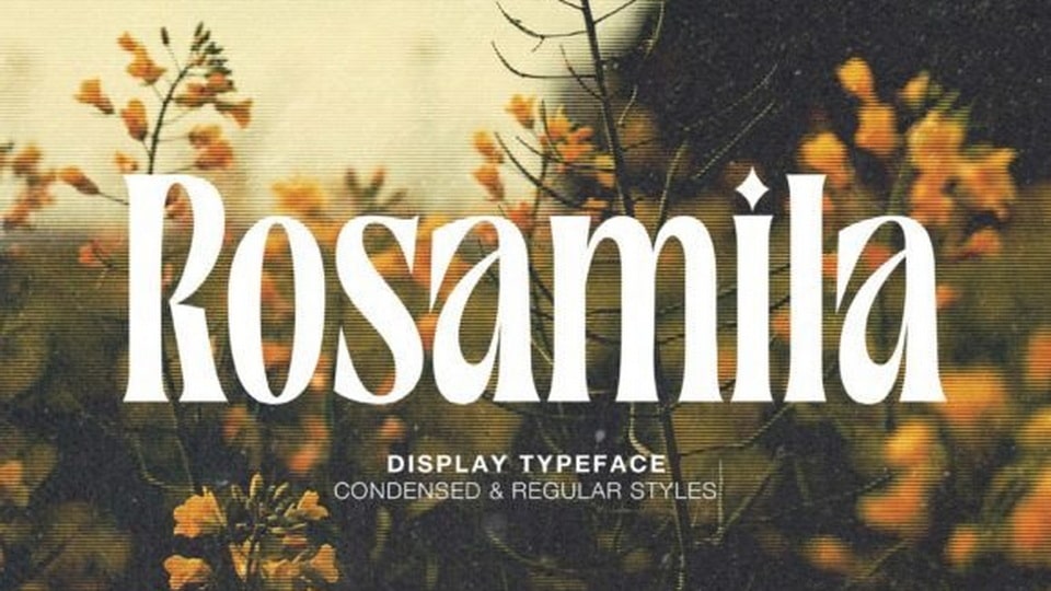 Rosamila Display Font: A Versatile Serif with Elegant Ligatures