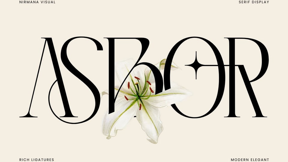 Asbor Fashion Font: The Epitome of Luxury and Elegance