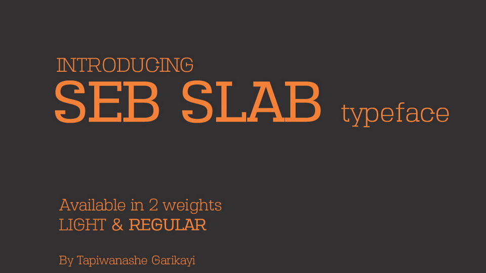 

Seb Slab – A Unique Slab Serif Font Family with its Own Distinct Personality